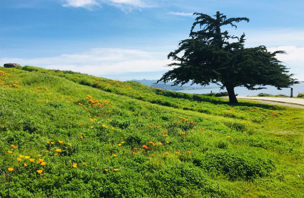 Prime Picnic Spots in Richmond Post News Group