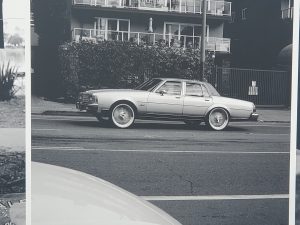 My Park Moment Photo show opens in San Francisco Presidio