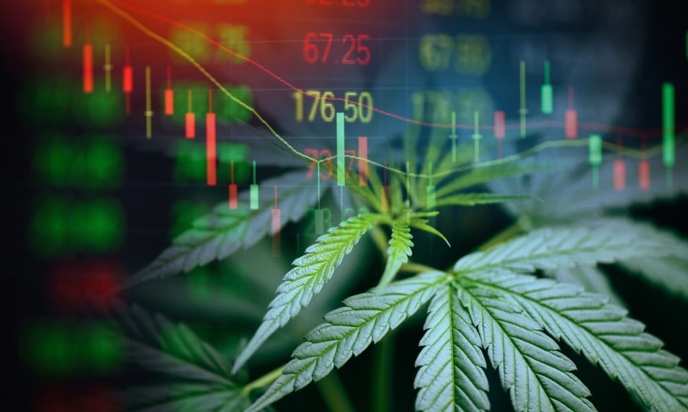 Board Of Supervisors Unanimously Approves Cannabis Equity Legislation Introduced by Mayor London Breed - Vimarsana News