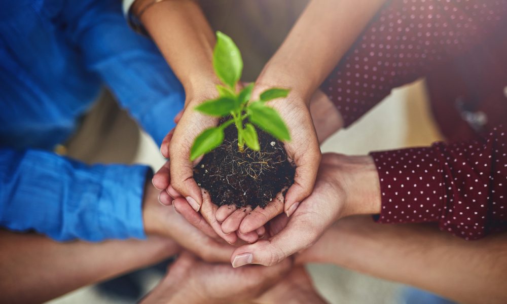 Manzanita SEED Community Says Teacher Consolidations Harm Students