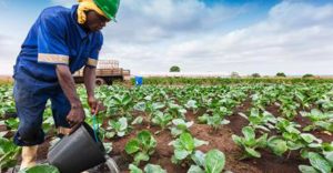 California Reparations Task Force Looks at Long History of Racism in American Agriculture