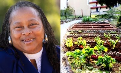 Left: June Farmer (womensearthalliance.org). Right: A large garden off of Cole Drive. (The Marin Post).