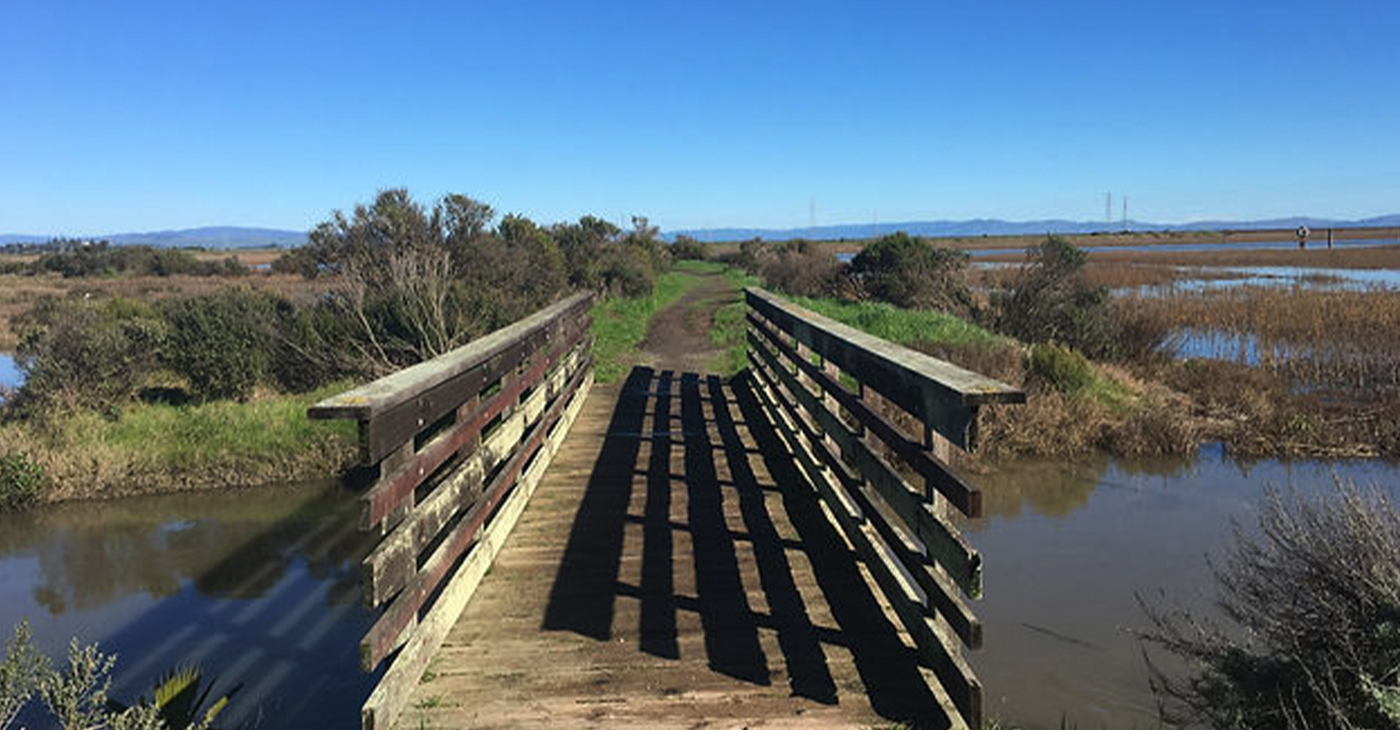 The Flood Control and Water Conservation District has secured funding for the flood mitigation project from four sources, with the largest coming from a $3,235,180 Federal Emergency Management Agency (FEMA) grant.