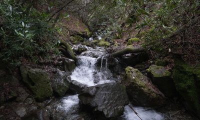 A waterfall on the Falls Trail Loop in the Mt. Diablo State Park in Clayton, Calif., on January 6, 2021. (Ray Saint Germain/Bay City News)