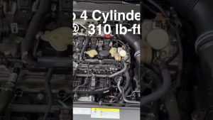 Neck jerking power…