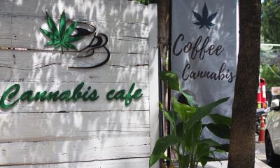 Cannabis entrepreneurs would have been able to sell food at their cafes to diversity their income. Image courtesy California Black Media.