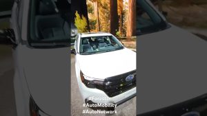 Subaru Forester exhibit LA Auto Show
