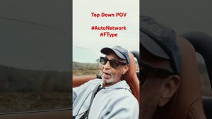 Just Taking It All In