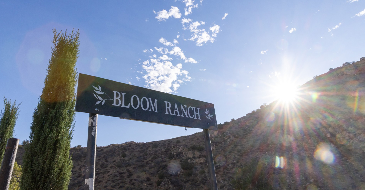 Dr. Bill Releford owns Bloom Ranch in Acton, a 250-acre farm in Acton. Releford, a podiatrist based in Los Angeles started the 250-acre Bloom Ranch — he largest Black-owned ranch in Los Angeles County — in 2023. The ranch provides access to nutritional fruits and vegetables, a part of Releford’s strategy for focusing on wellness and preventive care.