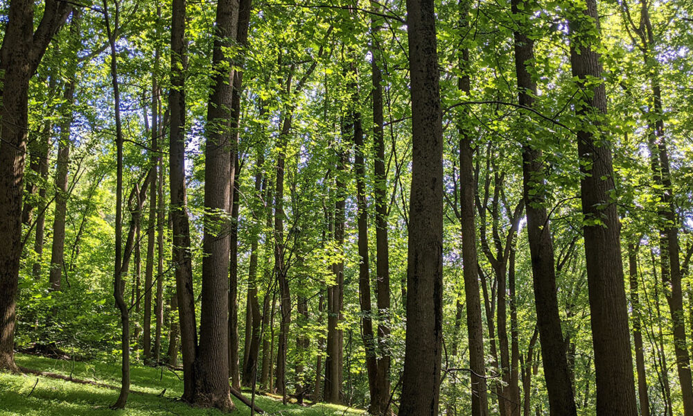 Prince George’s County, Maryland Advances Environmental Justice Through ...
