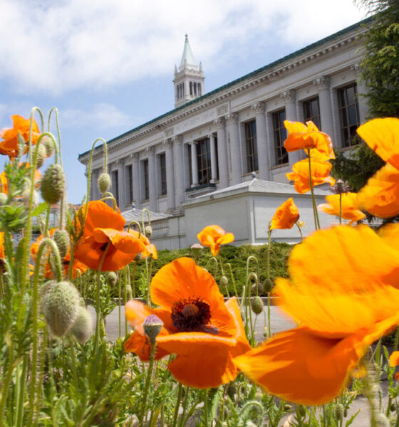 Photo by Keegan Houser/UC Berkeley.