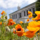 Photo by Keegan Houser/UC Berkeley.