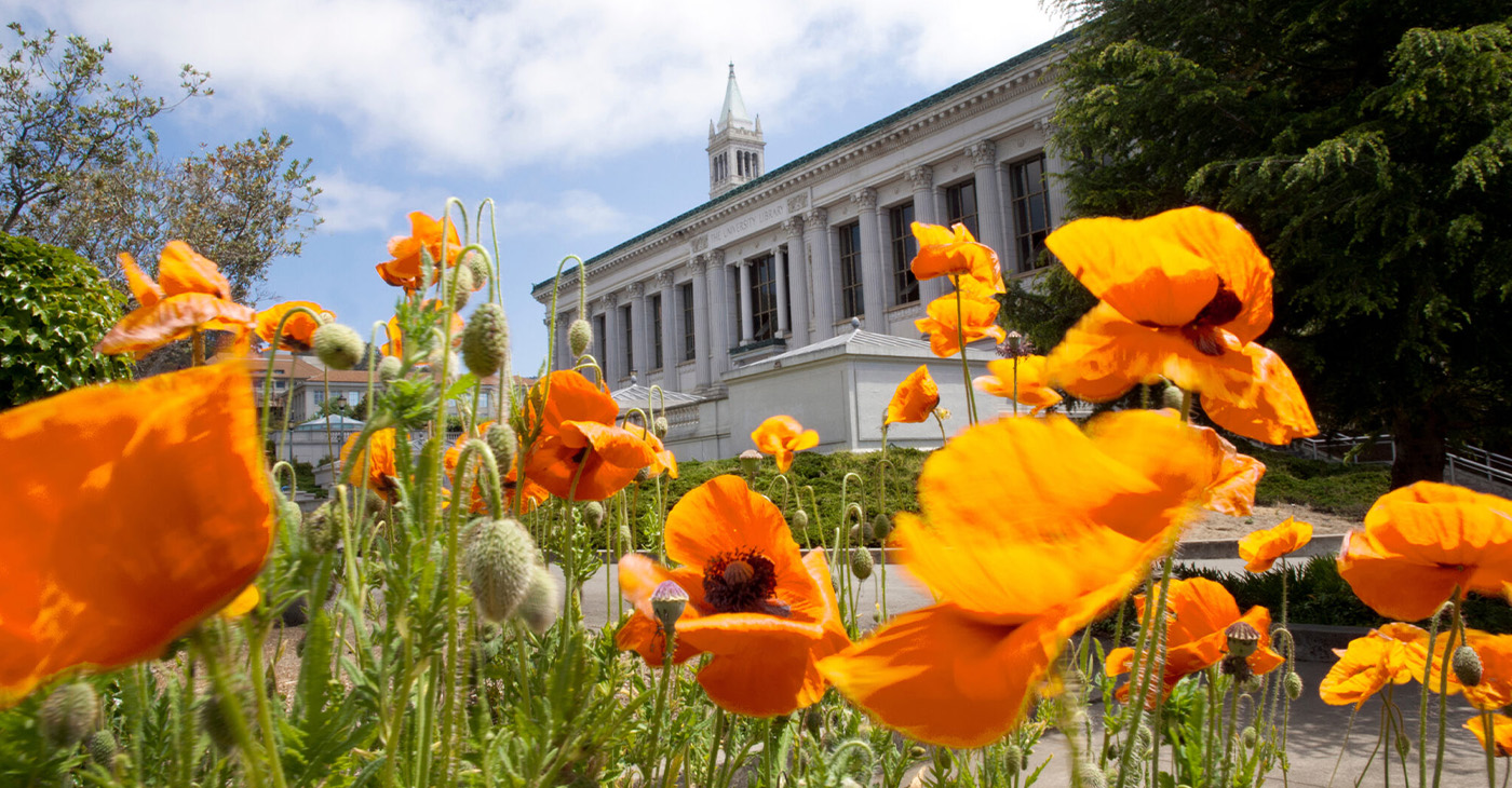 Photo by Keegan Houser/UC Berkeley.